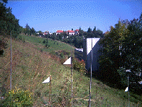 flags