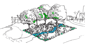 study site drawing