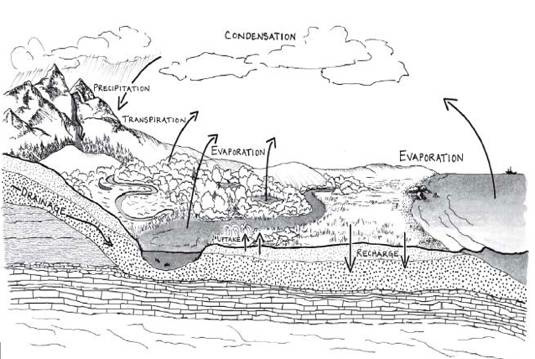 Water cycle