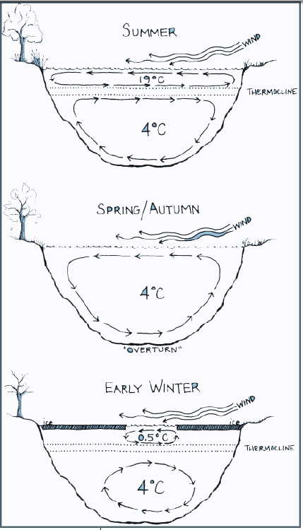 seasonal changes