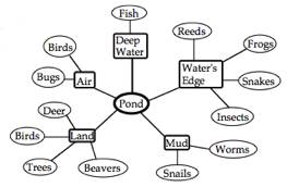 water foodweb