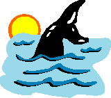 whale diving